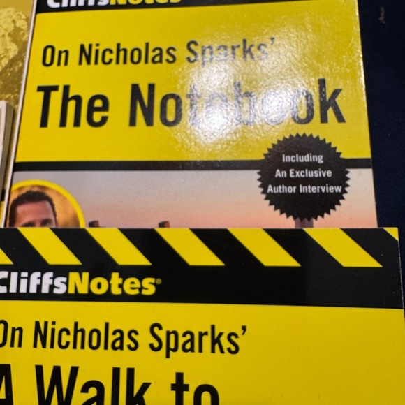 Nicholas Spark Teacher Guides And Cliff Notes For The Notebook/Walk To Remember - Picture 14 of 14